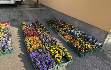 486452984_666623182527103_419919486653315267_n