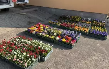 484994503_1144593750906813_549291572797938749_n