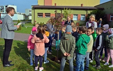 Posadzenie drzewek