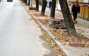 Rewitalizacja miejskich skwer&oacute;w i pas&oacute;w zieleni