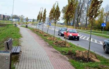 Rewitalizacja miejskich skwer&oacute;w i pas&oacute;w zieleni