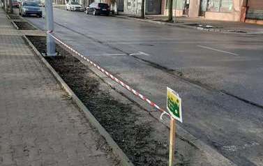 Dbamy o zieleń