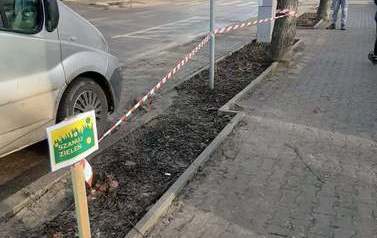 Dbamy o zieleń