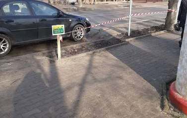 Dbamy o zieleń