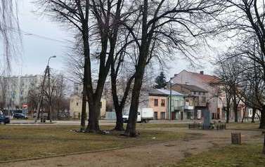 Dwa razy więcej drzew 