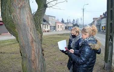 Dwa razy więcej drzew 