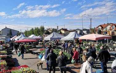 Podjęcie uchwały w sprawie emisji obligacji