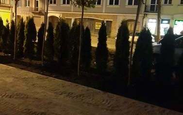 Nowa zieleń została zagospodarowana przy ul. Pułtuskiej 