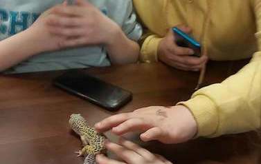 Wycieczka do zoo