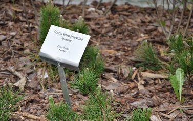 Spotkanie robocze wicemarszałka wojew&oacute;dztwa mazowieckiego Wiesława Raboszuka i burmistrza Andrzeja Pietrasika