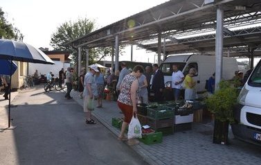 Niecodzienny gość na naszym "małym" płońskim targowisku