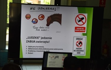 Program edukacyjny Straży Miejskiej w Płońsku
