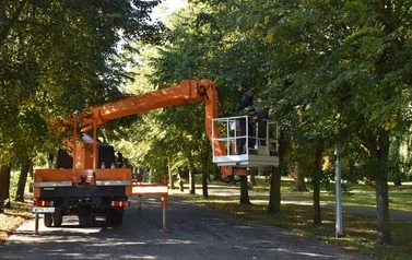Prace w obrębie koron drzew w 3 miejscach w Płońsku 