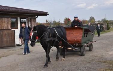 Pierwszy Hubertus Ziemi Płońskiej za nami 