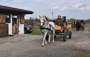 Pierwszy Hubertus Ziemi Płońskiej za nami 