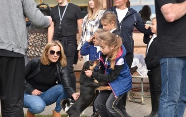 Pierwszy Hubertus Ziemi Płońskiej za nami 