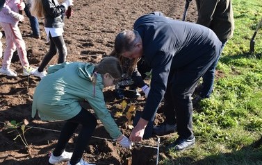 Posadziliśmy las kieszonkowy 