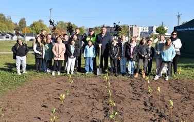 Posadziliśmy las kieszonkowy 