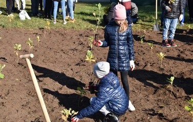 Posadziliśmy las kieszonkowy 