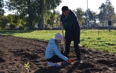 Posadziliśmy las kieszonkowy 