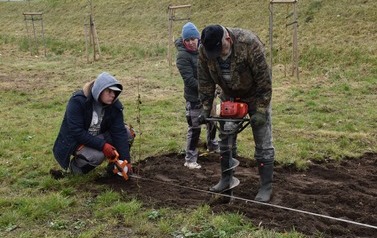 Zazielenienia Płońska ciąg dalszy 