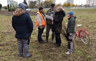 Zazielenienia Płońska ciąg dalszy