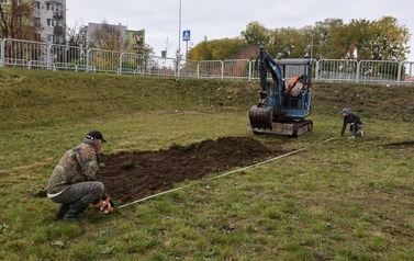 Zazielenienia Płońska ciąg dalszy