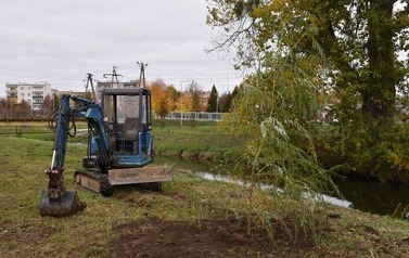 Zazielenienia Płońska ciąg dalszy
