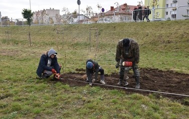 Zazielenienia Płońska ciąg dalszy