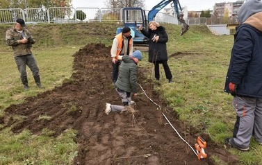 Zazielenienia Płońska ciąg dalszy