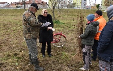 Zazielenienia Płońska ciąg dalszy