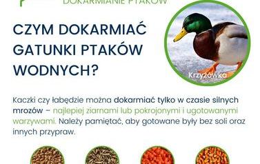 Odpowiedzialne dokramianie ptak&oacute;w
