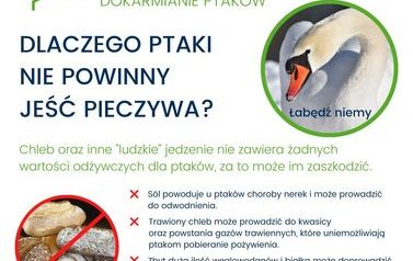 Odpowiedzialne dokramianie ptak&oacute;w