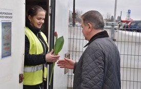 Burmistrz Miasta Płońsk w Dniu Kobiet na targowisku wręcza tulipani i składa życzenia wszystkim napotkanym kobietom