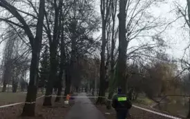 Galeria aktualności Uwaga - Park Wolności, w pobliżu zagrody miejskie 3560 2