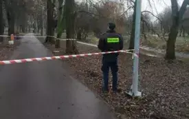 Galeria aktualności Uwaga - Park Wolności, w pobliżu zagrody miejskie 3560 3