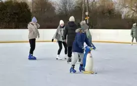Galeria aktualności Ferie w mieście nie muszą być nudne! 27