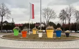 Galeria aktualności Miasto Płońsk zwycięzcą Plebiscytu Ekologicznego UKSW 5