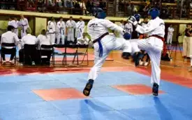 Galeria aktualności Mistrzostwa Mazowsza Taekwondo w Płońsku 14