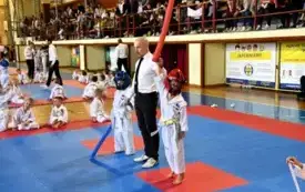 Galeria aktualności Mistrzostwa Mazowsza Taekwondo w Płońsku 17