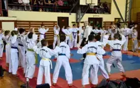 Galeria aktualności Mistrzostwa Mazowsza Taekwondo w Płońsku 24