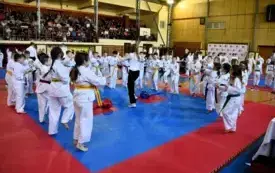Galeria aktualności Mistrzostwa Mazowsza Taekwondo w Płońsku 40