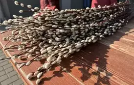 485950691_647322948158329_8970884613089895067_n