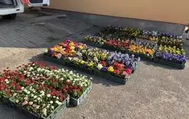 484994503_1144593750906813_549291572797938749_n