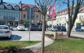 Galeria aktualności W sercu naszego miasta przybyły 3 nowe drzewa &nbsp; &nbsp; &nbsp; 2