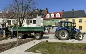 Galeria aktualności W sercu naszego miasta przybyły 3 nowe drzewa &nbsp; &nbsp; &nbsp; 6