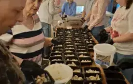 Galeria aktualności ,,Koszyczki Wielkanocne" - pomoc Stowarzyszenia AS 10