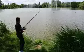 Galeria aktualności Wędkarskie Zawody Spławikowe o Puchar Burmistrza Miasta Płońska 6