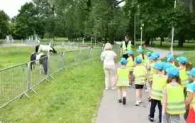 Galeria aktualności Wsp&oacute;lny spacer ze Strażą Miejską &ndash; nauka przez zabawę 15