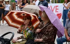Koncertowe lato na Płońskim Rynku - Nona Band 11